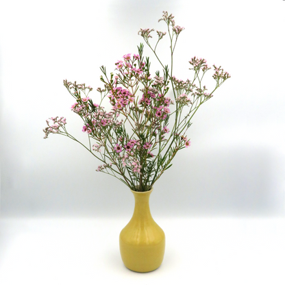 Narrow Rounded Vase - Yellow