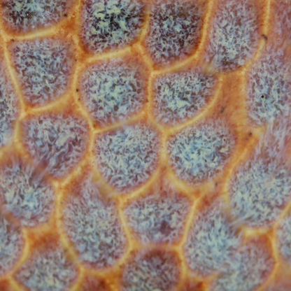 Carved Small Bowl - Sunset Red