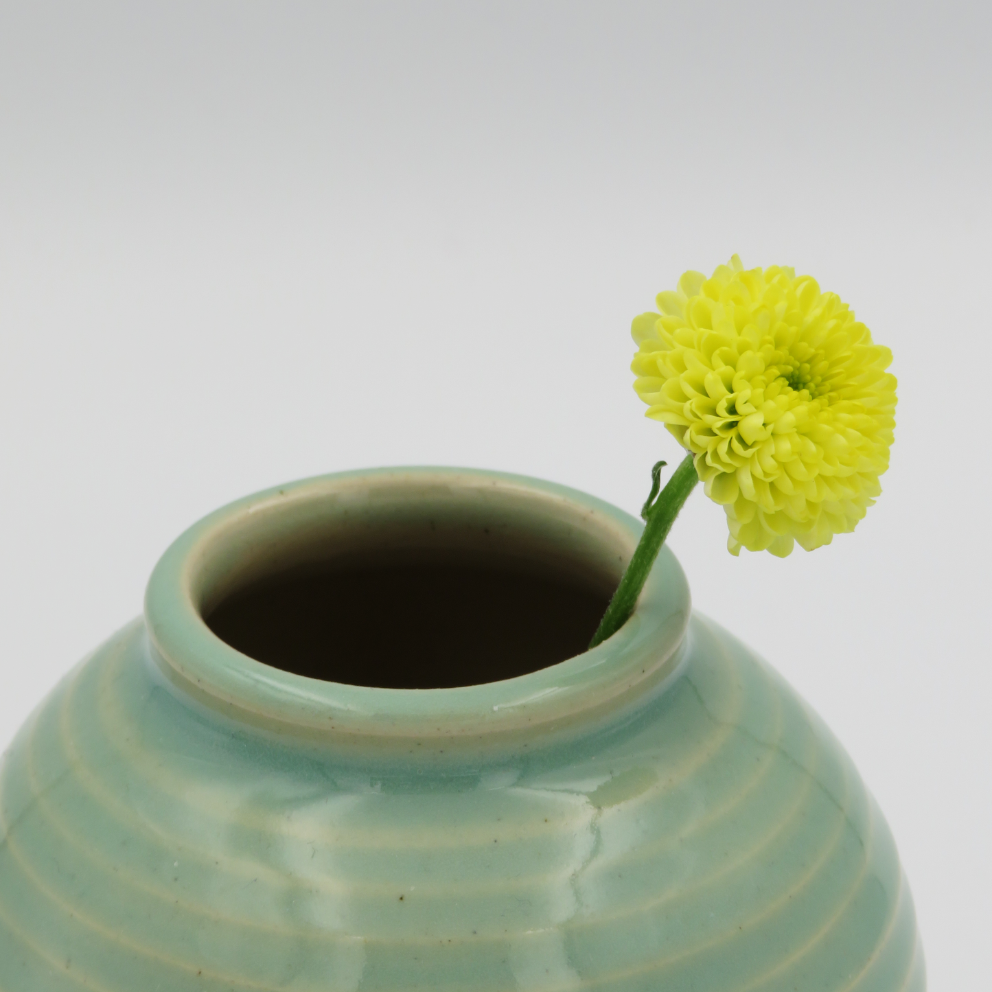 Bud Vase - Celadon Green